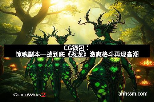 CG钱包：惊魂副本一战到底《忍龙》激爽格斗再现高潮